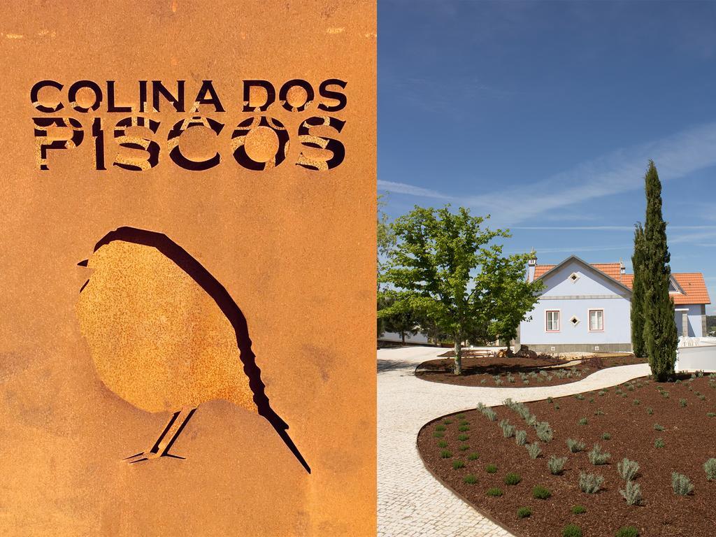 Colina Dos Piscos Casais da Abadia Exterior foto